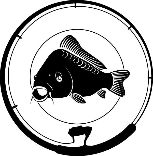 壳logo