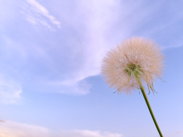 芳华岁月