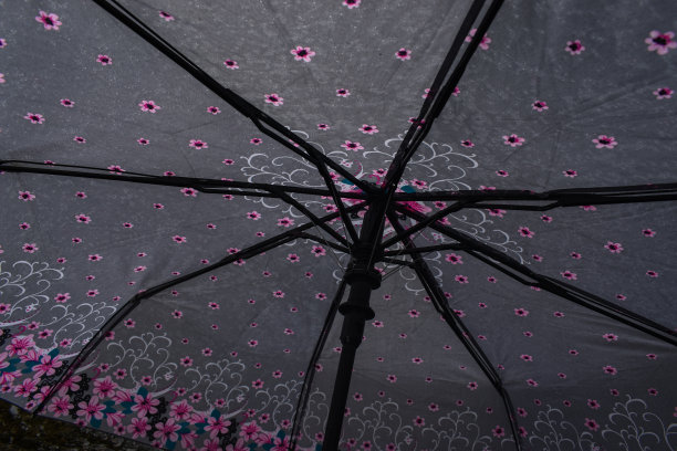 伞打花