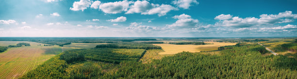 乡间树林摄影图
