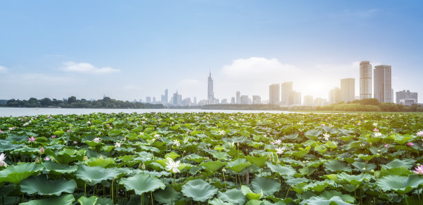 南京风光南京旅游