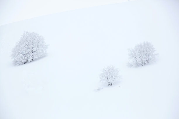 冬天下雪场景