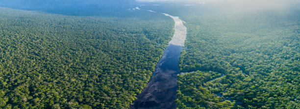 湿地航拍4k