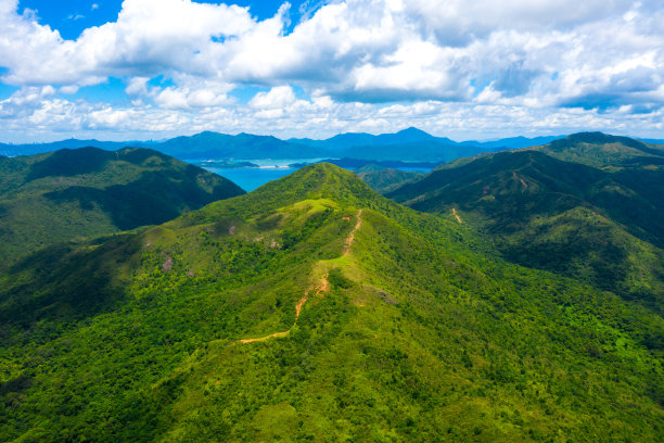 蓝天下的山林