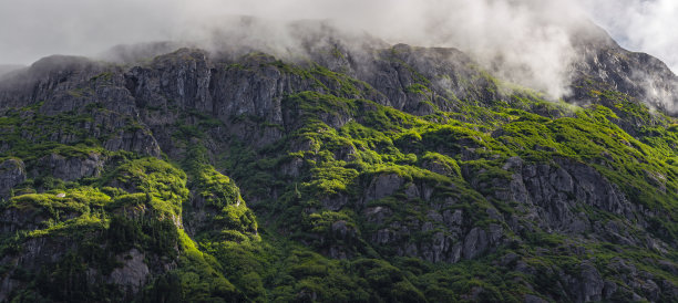 山峦云雾松树日出