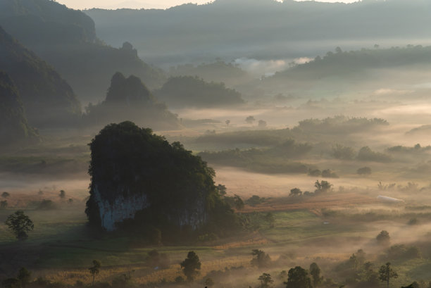 森林大自然美景4k