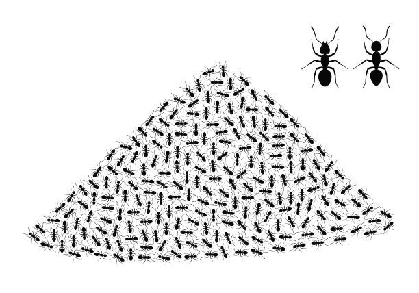 蚂蚁logo标志