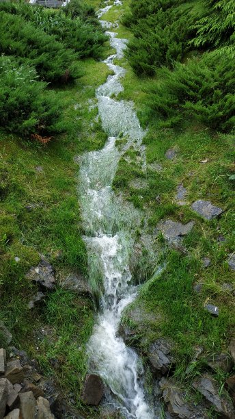 夏日的小河