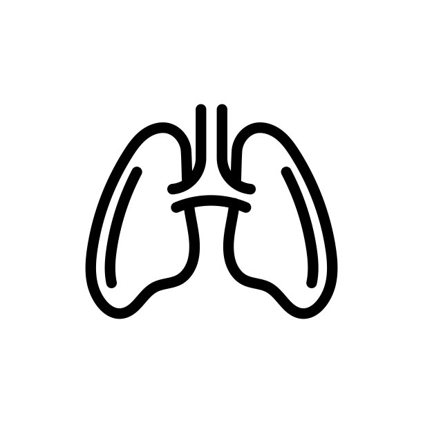 人体,支气管,人类肺脏