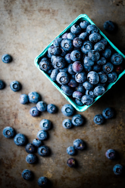 美国蓝莓