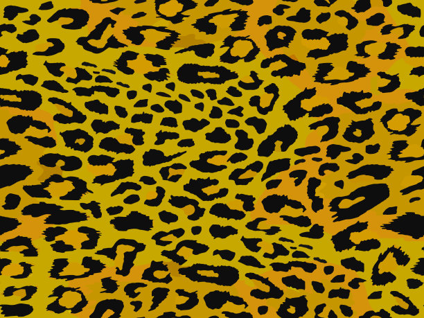 动物豹子矢量图