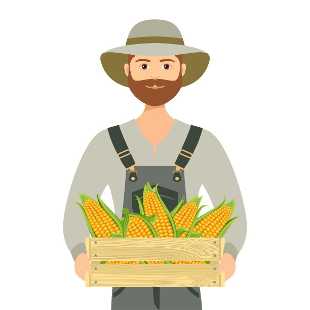 农民插画,玉米插画