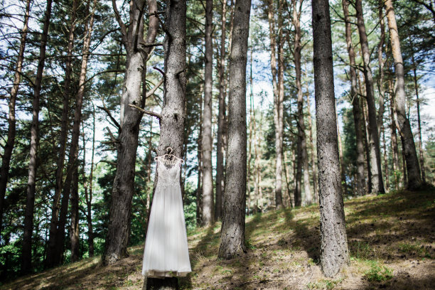 森林婚礼背景