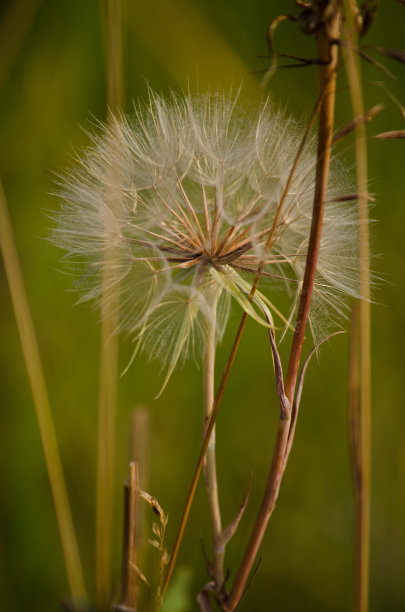 收割季节