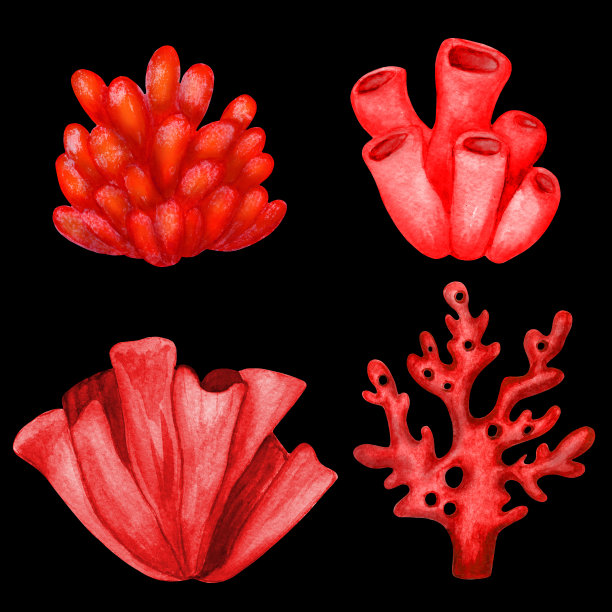 水彩热带植物元素