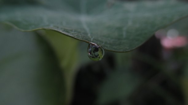 夏至清爽