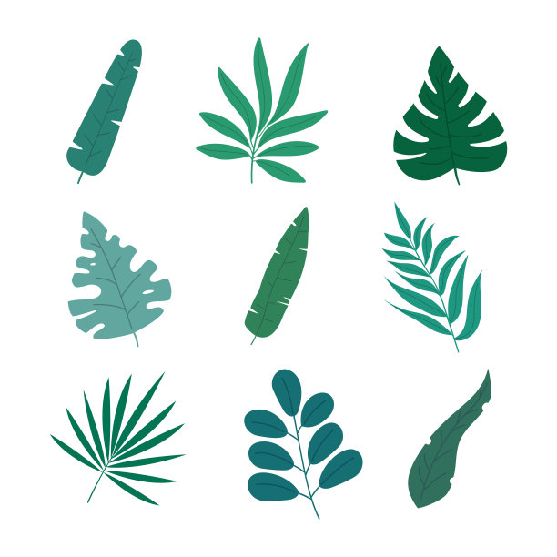 绿色叶子植物抽象创意图案