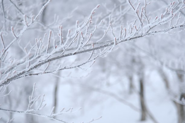 大雪冬至冬季小雪