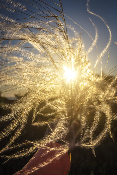 梦幻清新背景底纹