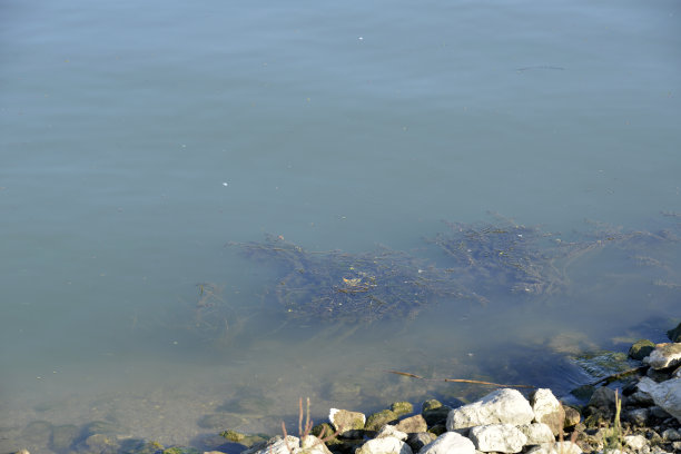 浑浊的江水