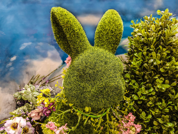 兔子造型的花朵