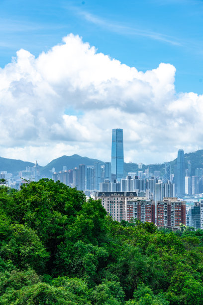 海洋树林风景