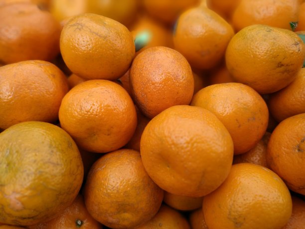 橘子静物素材