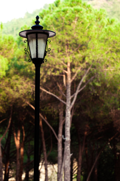 城市树灯装饰