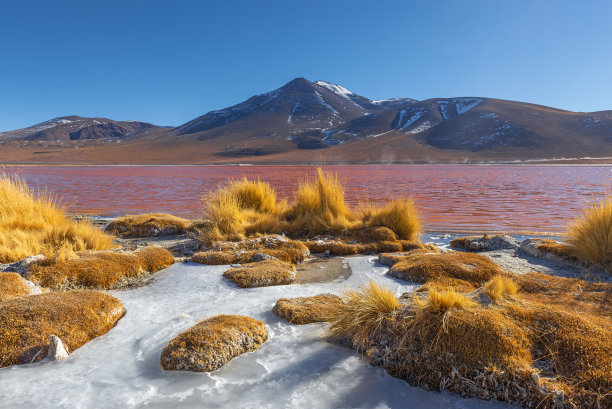 冬天冰天雪地背景