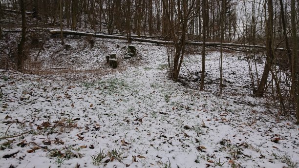 积雪寒冷小雪小寒大寒