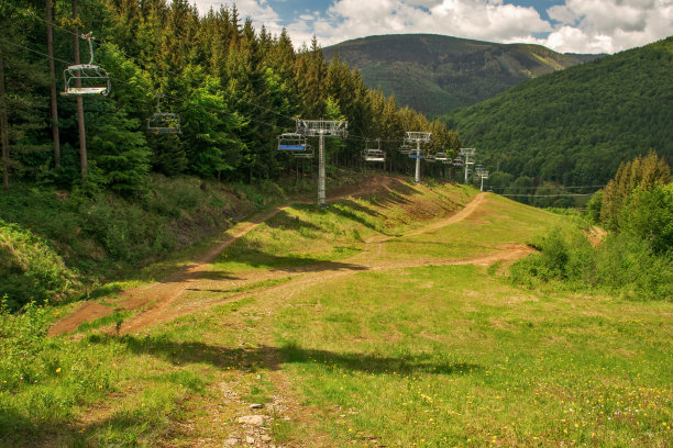 阳光森林小路,高清全景