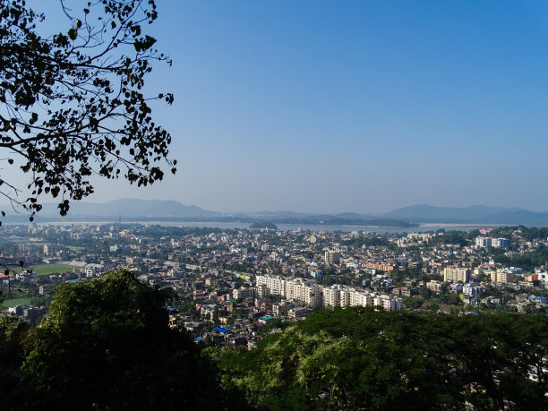 生态造景