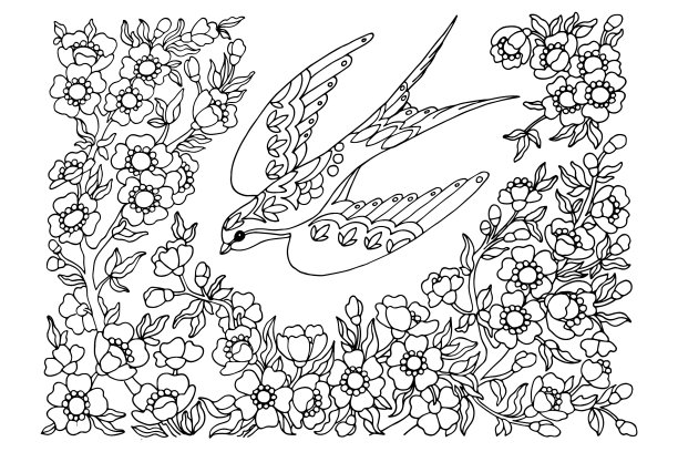 花和鸟线描