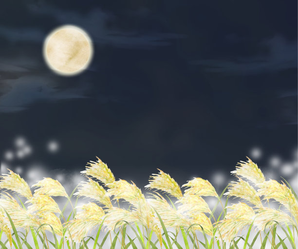 草原夜空
