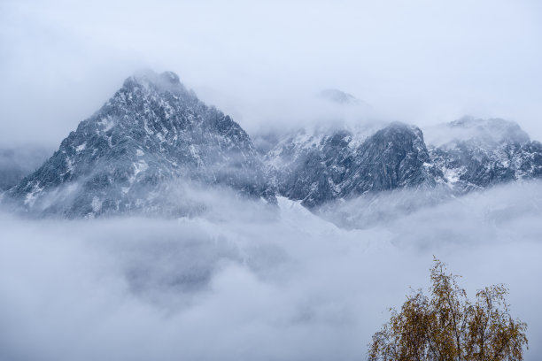 冰雪剪影