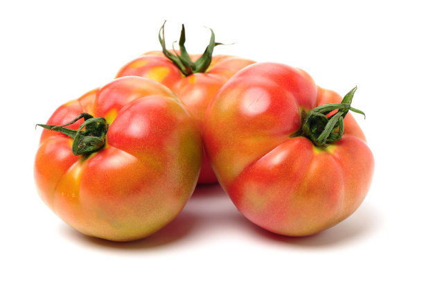 西红柿高清白底