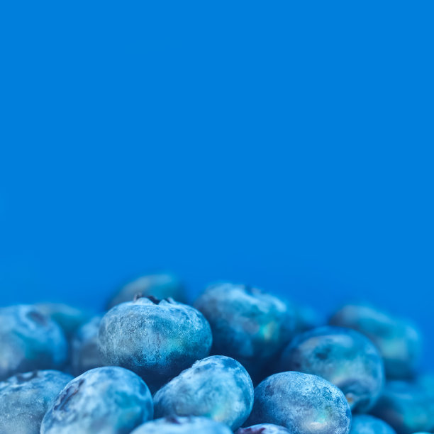 蓝莓广告