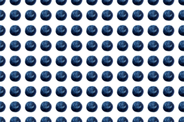 蓝莓包装设计