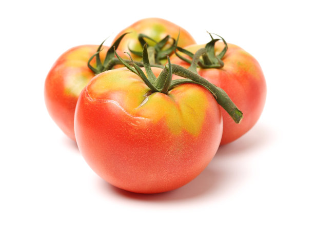 西红柿高清白底