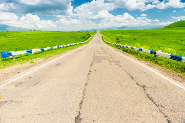 一排树木的道路