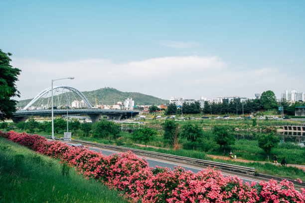 住宅小区绿道马路图片