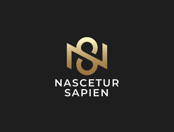 字母sn设计logo