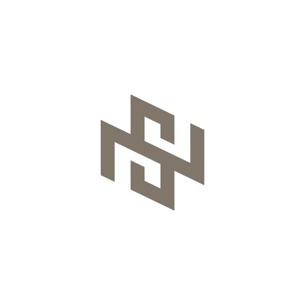 字母sn设计logo