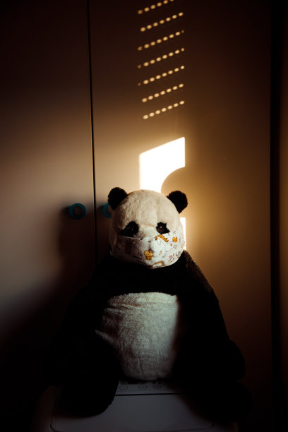 熊猫和口罩