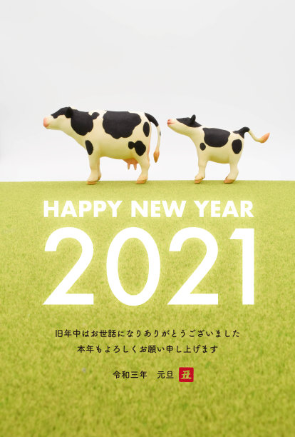 2021年户外造型