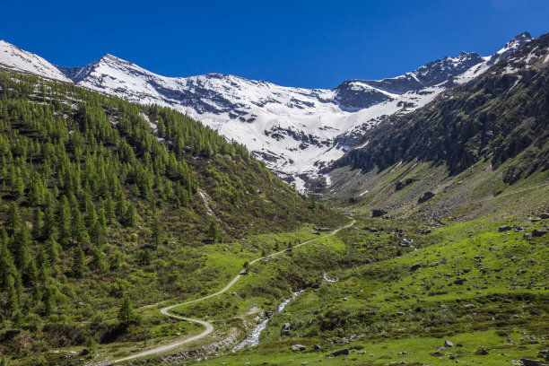 山涧小路,森林山路