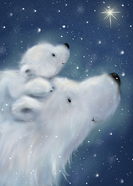 北极熊 星星