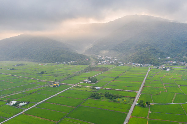 台湾金色城市设计