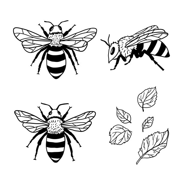 卡通花园蜜蜂矢量图