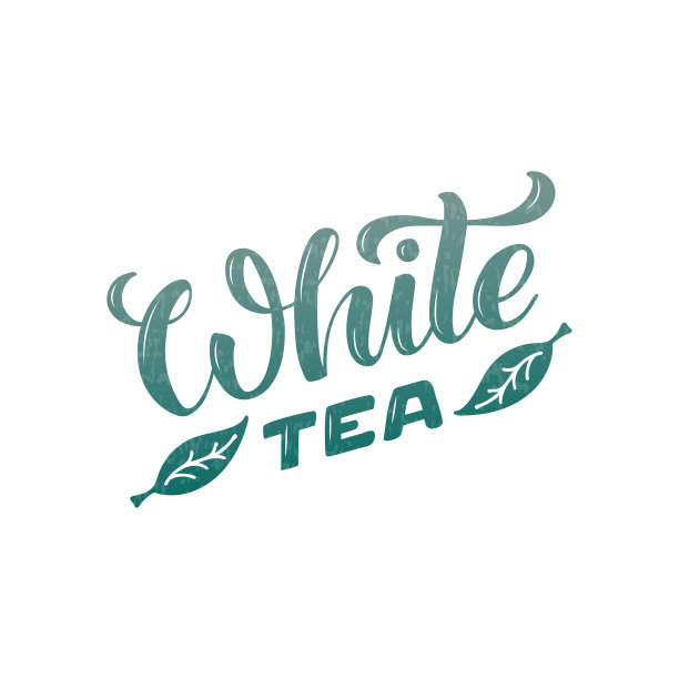 白茶字体设计